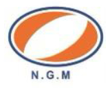 نوین گدازه مطلق